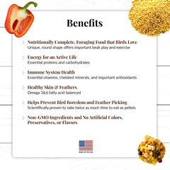LAFEBER'S El Paso Nutri-Berries forme ronde stimulant l’exploration alimentaire des oiseaux