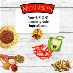 LAFEBER'S El Paso Nutri-Berries sans arômes artificiels, choix naturel pour oiseaux