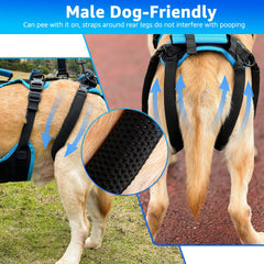Harnais Lafoty durable et confortable, support arrière rembourré.
