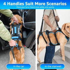 Lafoty harnais pattes arrières amovibles offrant une utilisation polyvalente pour les chiens.