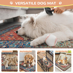 Tapis Lahome absorption rapide evacuation efficace du liquide