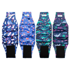 Langsprit culottes chien motifs floraux pour propreté et style sans fuite.