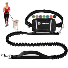 LANNEY laisse mains-libres sur ceinture pour chien moyen, offre liberté des mains