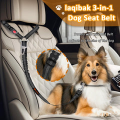 Laqibak attache chien auto boucle rotation 360 assure mouvement fluide.