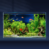 Bac LAQUAL 10 galons avec vue ultra claire pour observer les poissons