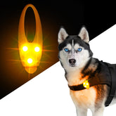 LaRoo collier lumineux pour chien avec attache, meilleure visibilité nocturne.