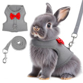 Larrel harnais lapin gris avec longe, parfait pour promenades en sécurité.