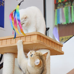 LASOCUHOO vers-chat colorés: les vers attirent et motivent le jeu