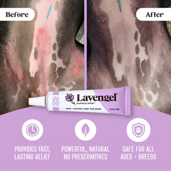 Lavengel – plaie mineure chez le chien, soin ciblé.