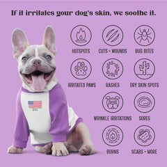 Lavengel – zone chaude chez le chien, traitement non gras.