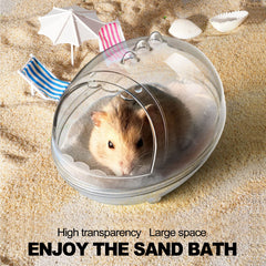 Bain hamster lazYYzal panorama 360: vue d'ensemble des activités