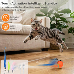 LDZ&CHX balle interactive chat avec batterie rechargeable pour des heures de jeu.