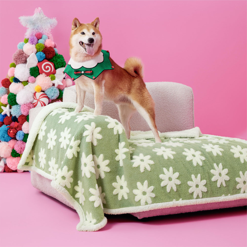 Le SURE couverture chien nuage 3D, protection canapé et chaleur douce pour chien.