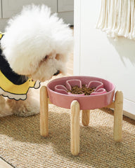 Le Tauci bol anti-glouton en céramique, idéal pour manger lentement et proprement.