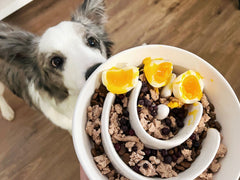 Bol LE TAUCI PET anti gaspillage avec design labyrinthique ralentissant l’alimentation.