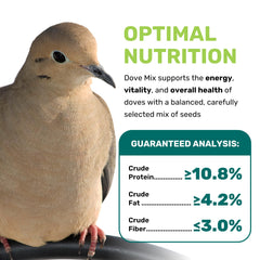 Leach Dove Mix – graines riches en nutrition pour énergie et croissance des oiseaux.