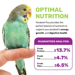 Parakeet Food Plus – ingrédients premium pour énergie et croissance.