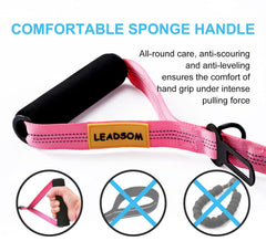 LEADSOM laisse bungee absorbeante: absorption des chocs pour chiens énergiques.