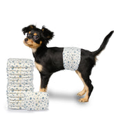 LeapSheep couches pour chien mâle XS, ensemble pratique pour apprentissage.