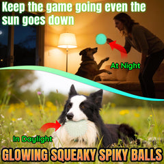 Balle qui couine LECHONG avec éclairage nocturne attrayant pour le chien.