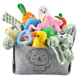 Jouets LeChong pour chiots — ensemble varié pour jeu et développement.