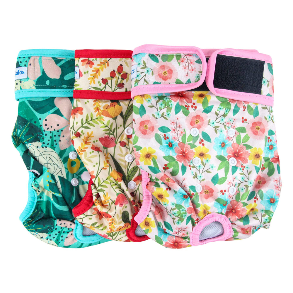 Leekalos, couches lavables pour chien femelle Flora, confort et ajustement en voyage.