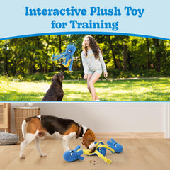 LEGEND SANDY Jouet puzzle interactif pour chien, défi mental ludique
