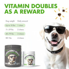 LEGITPET curcumine bouchées molles potentiel antioxydant pour chiens actifs.