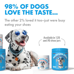LegitPet - Probiotiques chien pour digestion équilibrée et confort.