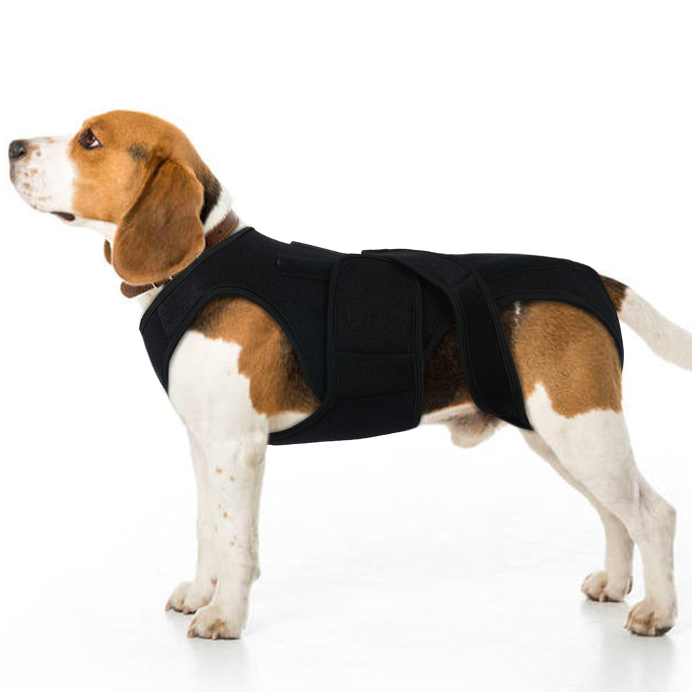 LeleTail support-dos pour chien avec 5 tiges plastiques pour un maintien postural fiable
