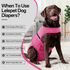LeLePet couche chien femelle à fermeture auto-agrippante, mise en place rapide