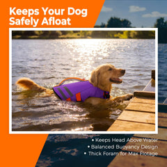 LeLePet gilet de natation chien – dos, visibilité accrue et couleur vive.