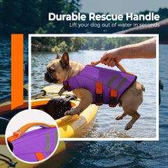 LeLePet gilet natation chien – poignée secours, aide rapide en urgence.