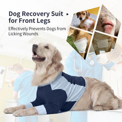 LeLePet Recovery Suit: fermeture dorsale facilitant l’enfilage sans stress.