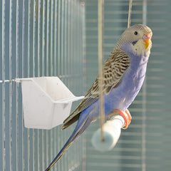 Nourrisseur LemonRoad petit pour cage oiseau, compact et pratique.