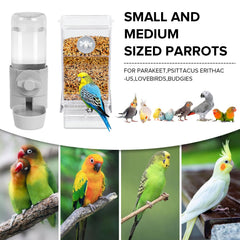 Lemtrflo distributeur eau oiseau, vérifie rapidement le niveau d'eau.