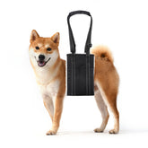 Lenpestia harnais elevateur chien dos: douceur intérieure pour le confort des chiens fragiles.