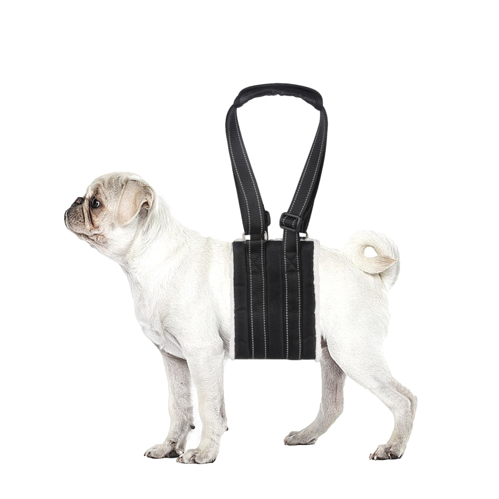 Lenpestia harnais levage chien ajustable offre un soutien sûr et personnalisé.