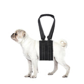Lenpestia harnais levage chien ajustable offre un soutien sûr et personnalisé.