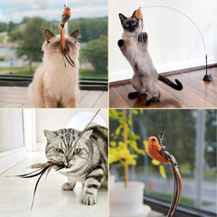Leo's Paw – fil ondulant autour de l'oiseau pendant le jeu