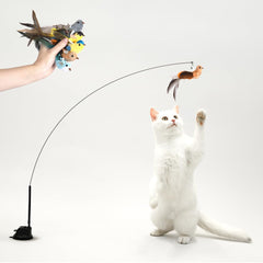 Leo's Paw – l'oiseau interactif avec plumes et clochettes, stimulante pour le jeu du chat