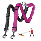 LEOSASA laisse double chiens 360 degres pivotante: evite les noeuds lors des promenades.