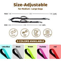 LEOSASA longe double-chien extensible – contrôle fluide pendant la marche