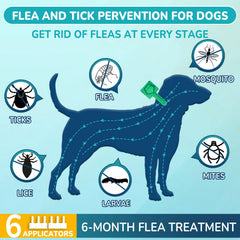 Bouteille Lerqua gouttes prévention puces et tiques pour chien moyen.