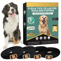Lerqua collier antipuces pack4, protection pratique pour chiens lors des promenades