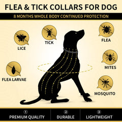 Collier Lerqua protection 32 mois pour chiens, routine pérenne