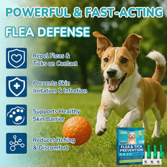 Lerqua kit six tubes pour chien petit prêt à l’emploi.