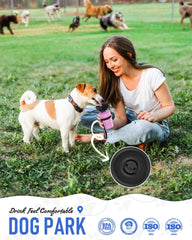 Lesotc design 2-en-1 avec bol pliable en utilisation pratique.