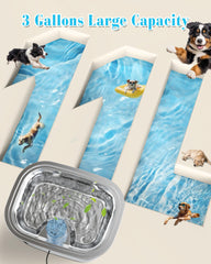 Vue niveau d'eau clair sur la fontaine Lesotc pour chien.