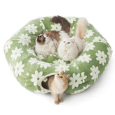 Lesure tunnel-chat nid-rond-confortable, parfait pour se reposer et se blottir.